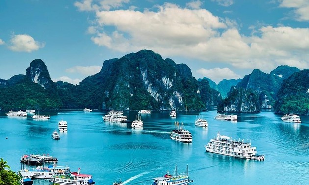 Ha Long Bay-Cat Ba Archipelago recognized as world natural heritage