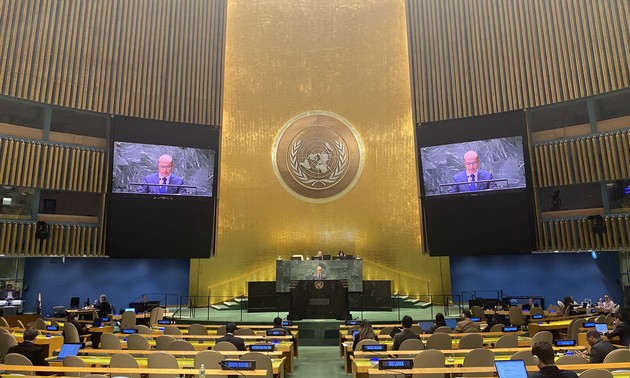 Vietnam proposes measures to reform UN Security Council