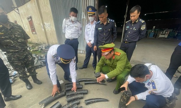 Vietnam customs agency continues implementing Operation Mekong Dragon  ​