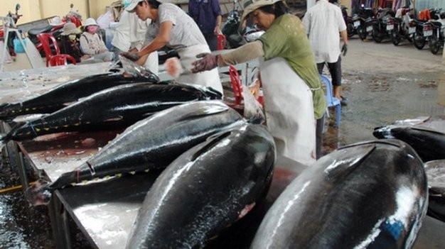Vietnam hopes cooperation with Japan on ocean tuna exports will succeed