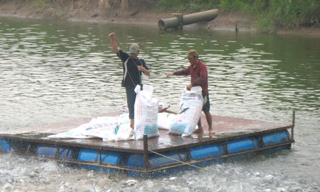 Vietnamese businesses strictly control Tra, Basa fish farming