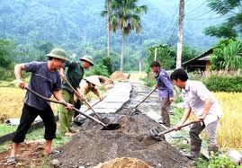 根据劳动力使用需求对农村劳动者进行职业培训     