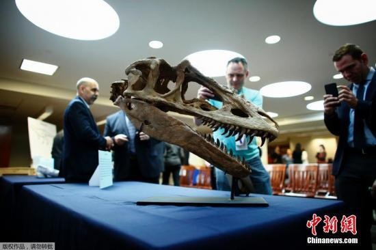 美国政府归还蒙古6种恐龙化石