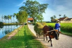 今后5年越南农村居民收入比2015年至少增加1.8倍