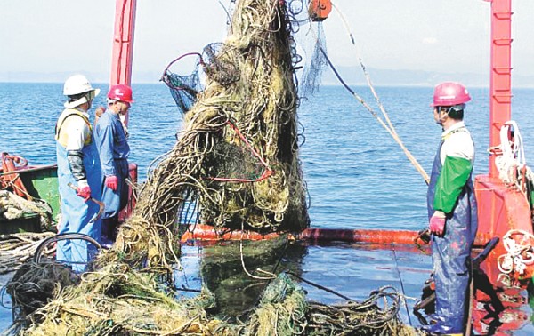 越南1300名渔业部门劳动者有机会到韩国工作