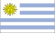 乌拉圭驻胡志明市领事馆开馆