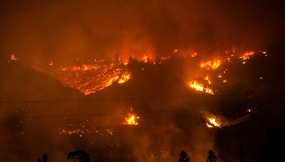 智利遭受史上最大森林火灾
