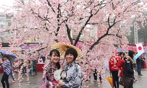 樱花展将于3月在河内举行