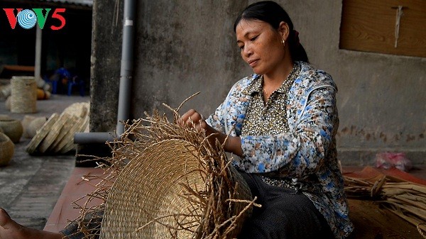 发挥越南妇女在新农村建设中的作用