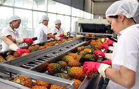 5月越南蔬果出口3.44亿美元