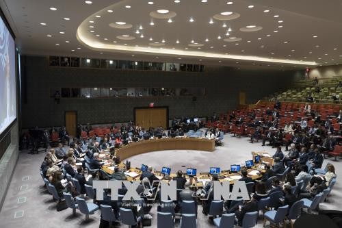 美国否决联安理会关于保护巴勒斯坦人的决议草案