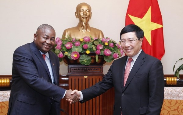 越南政府副总理兼外长范平明会见莫桑比克驻越大使佩恩
