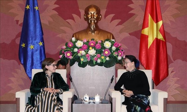 越南一直把欧盟视为最重要的伙伴之一