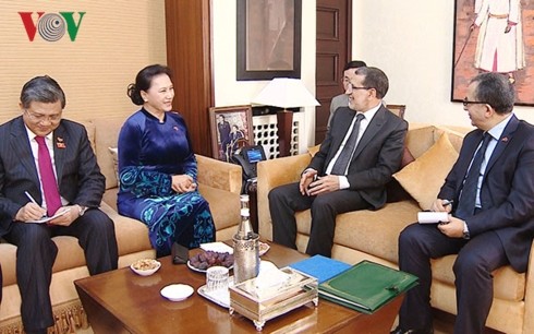 越南国会主席阮氏金银会见摩洛哥首相奥斯曼尼