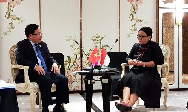 越南和印度尼西亚继续促进专属经济区重叠海域划界谈判