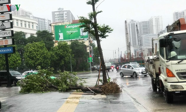 越南各地克服台风“韦帕”影响