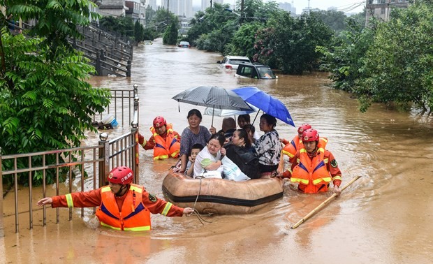 越南政府向中国灾区提供援助