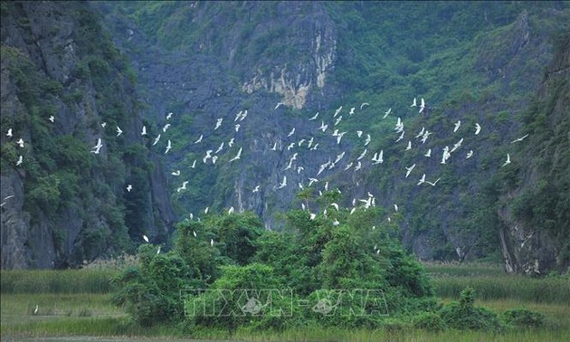 越南开展一系列有关保护和可持续利用湿地的活动