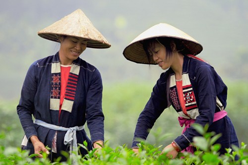 广宁省高兰族同胞维护传统服装之美