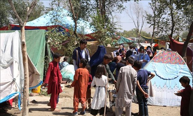 阿富汗局势：国际红十字会呼吁恢复人道活动