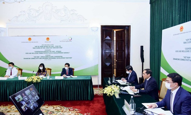 在新形势下提高越南和非洲农业合作效果