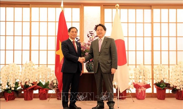 越南外交部长裴青山与日本外务大臣林芳正举行会谈