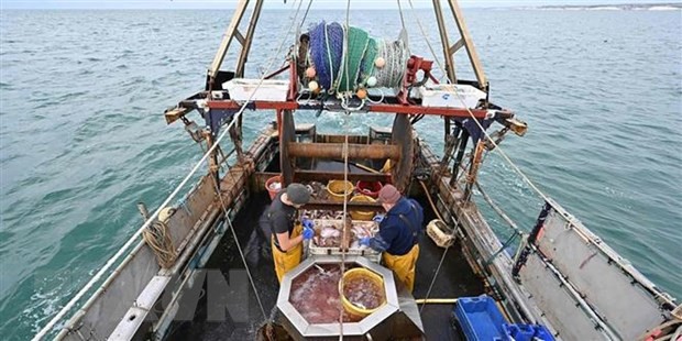 英国与欧盟就2022年捕捞配额达成协议