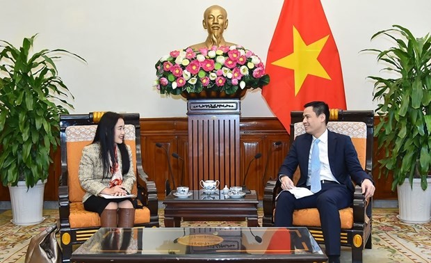 越南外交部副部长邓黄江与UNDP和UNFPA驻越首席代表举行会谈