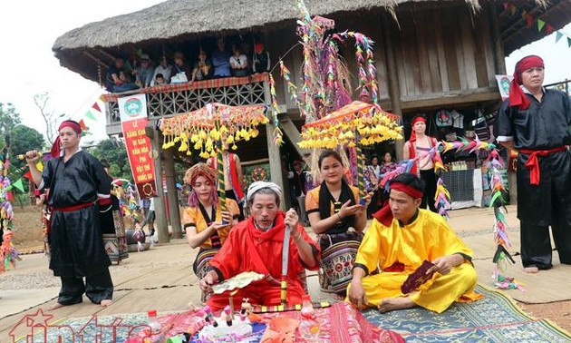 越南义安省泰族同胞的象汗节。