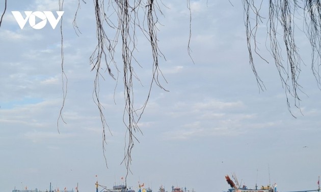 渔民在越南海域坚持出海