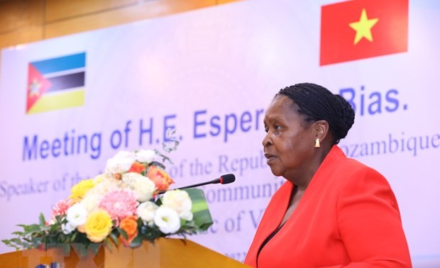 莫桑比克将成为越南企业进入非洲南部的门户