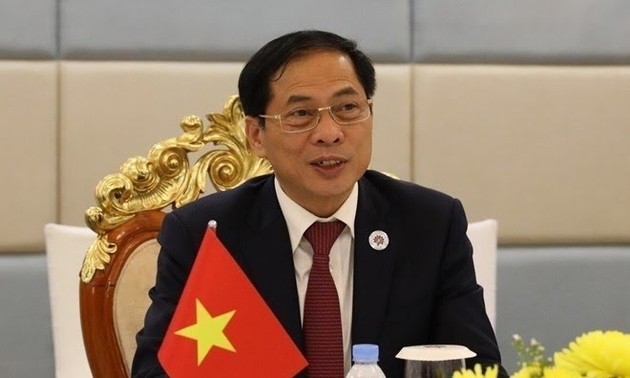 越南外交部长裴青山：越南努力创造无毒品环境