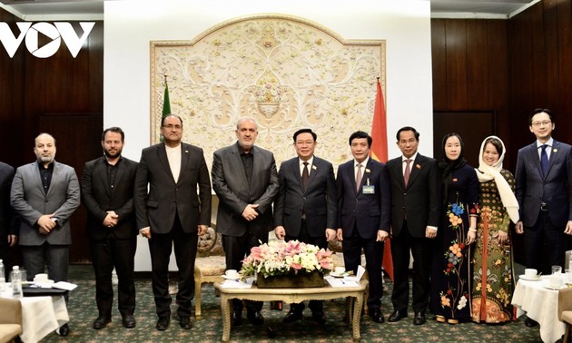 为越南和伊朗企业加强合作创造有利条件