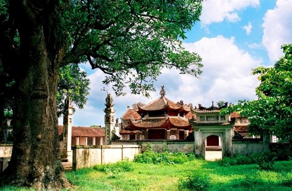 Die Lang Pagode und der ehemals größte Nadelbaumwald in Hanoi