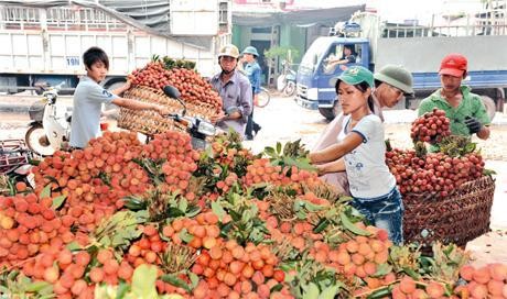Ausbau des Markenzeichens vietnamesischer Landwirtschaftsprodukte