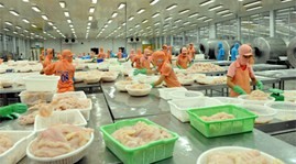 US-Ministerium für Handel will höheren Zoll gegen Pangasius aus Vietnam