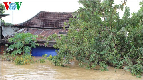 Frühling kommt im Überflutungsgebiet Hanh Tin Tay
