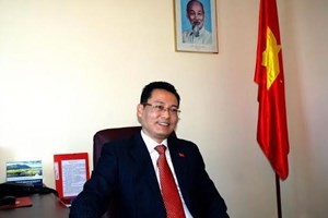 Vietnam ruft zum Respekt der Menschenrechte und der Humanität in besetzten Gebieten auf