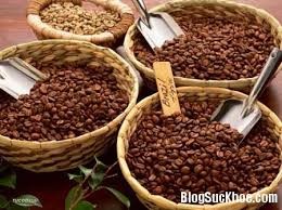Nachhaltige Entwicklung des Kaffee-Anbaus 
