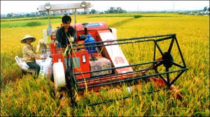 Anwendung der Technologien zur Landwirtschaftsentwicklung in ländlichen Gebieten
