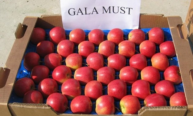 Polen exportiert Äpfel nach Vietnam