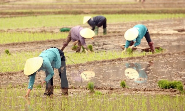  Kanada hilft Vietnam in der Landwirtschaft