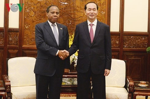 Staatspräsident Tran Dai Quang empfängt scheidenden mosambikanischen Botschafter