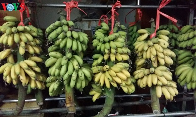 Ngu-Bananen: eine Spezialität des Dorfes Dai Hoang