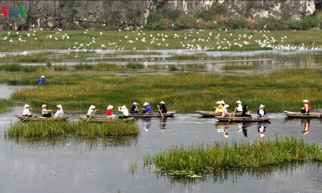 Entdecken die Naturschönheit des 9. Schutzgebietes Van Long- Ramsar in Vietnam