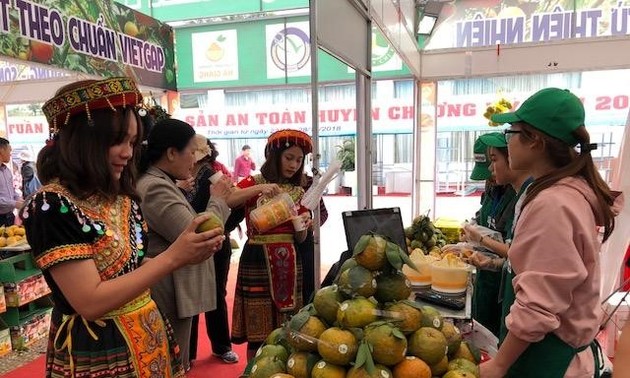 Woche der “Sanh-Orange” und OCOP-Produkte aus Ha Giang in Hanoi