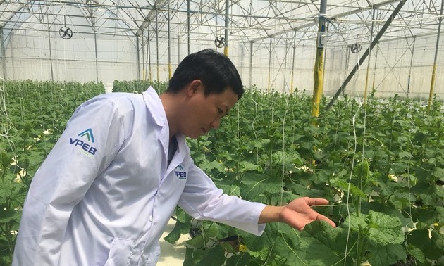 Die Agrarprodukte aus Binh Thuan suchen den Zugang zu Großmärkten