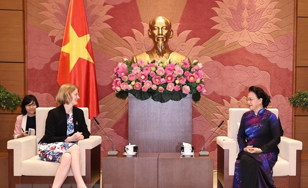 Parlamentspräsidentin Nguyen Thi Kim Ngan empfängt Botschafter der Länder