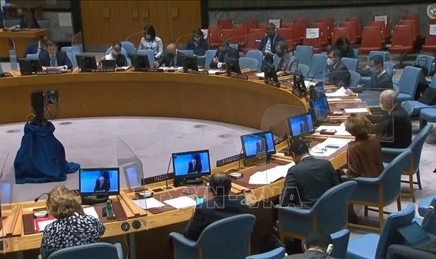 Weltsicherheitsrat diskutiert über Auswirkung der COVID-19-Pandemie auf Terrorkampf