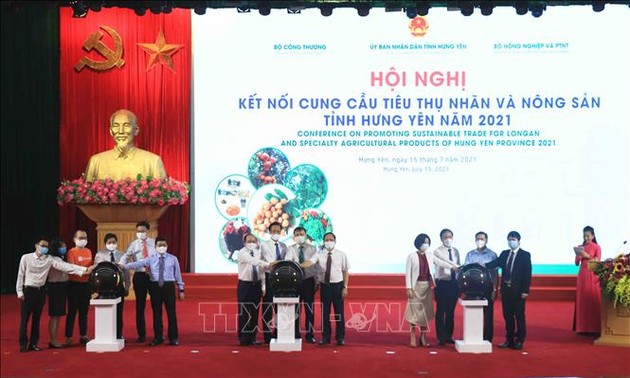  Konferenz für Handel von Longan aus Hung Yen